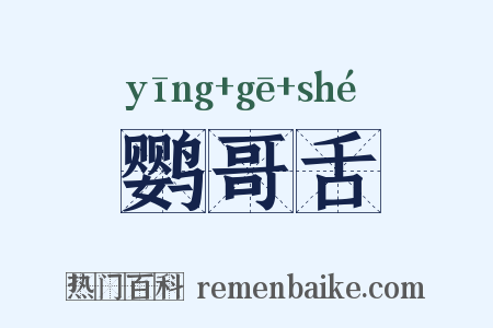 鹦哥舌是什么意思的图片